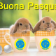 buona pasqua