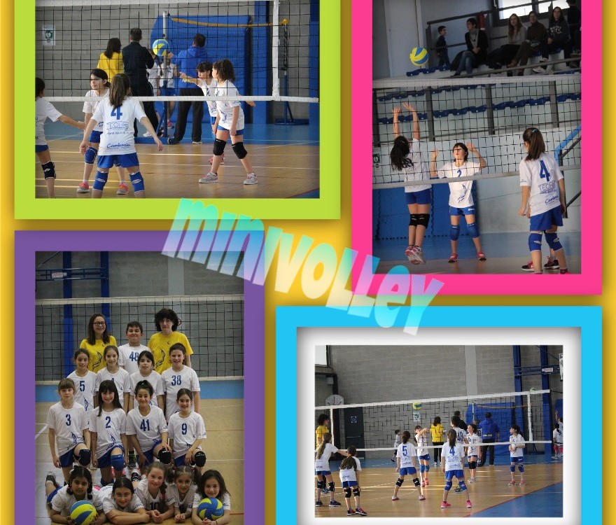 minivolley29.01.17