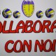 collabora con noi