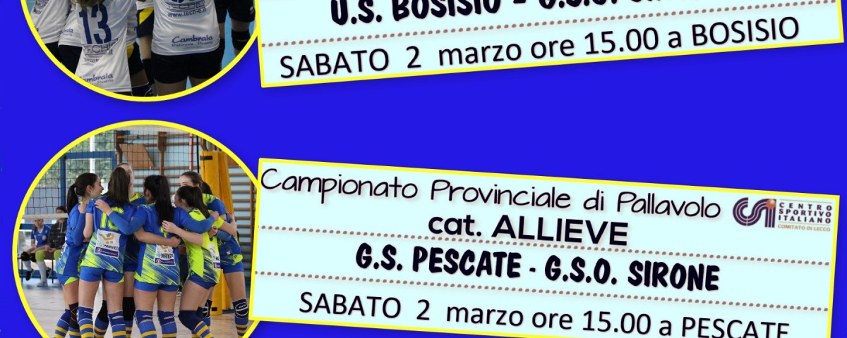 partite 2.03.19
